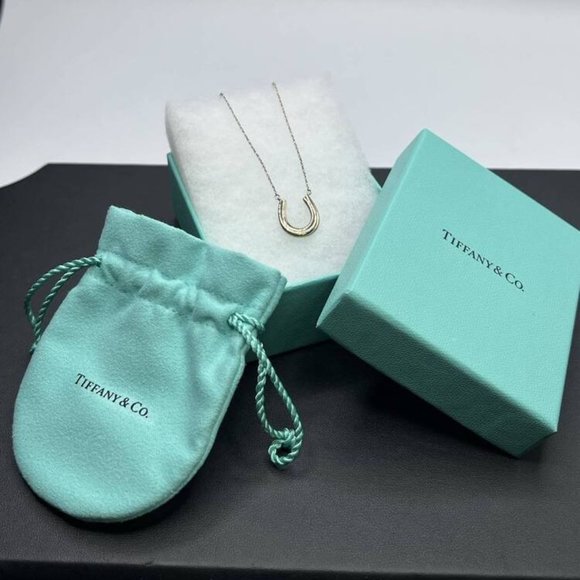 Tiffany & Co. Jewelry - Tiffany Co Metal Rubedo 1837 Horseshoe Pendant 18 LS(315922)